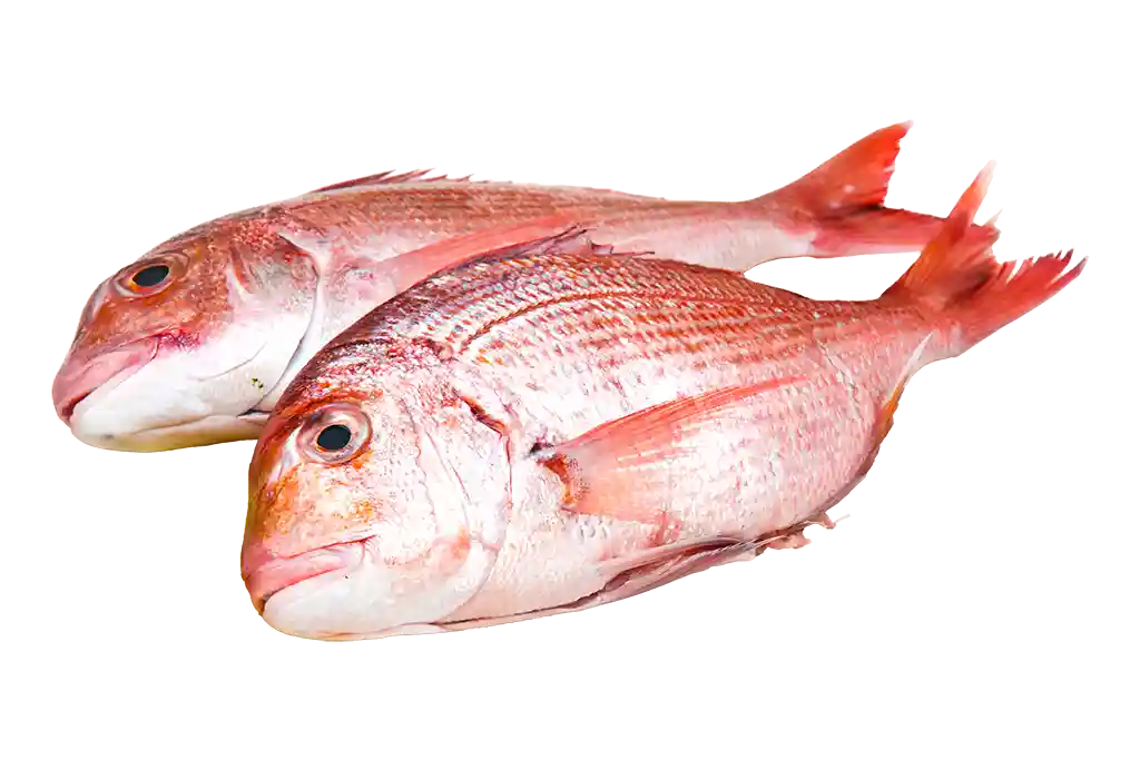 Ganzer Fisch