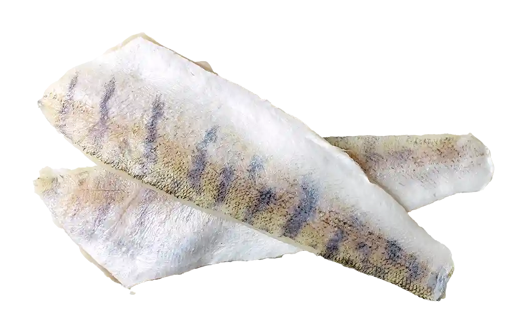 Ausgenommener Fisch
