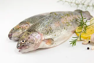 Thunfischfilet