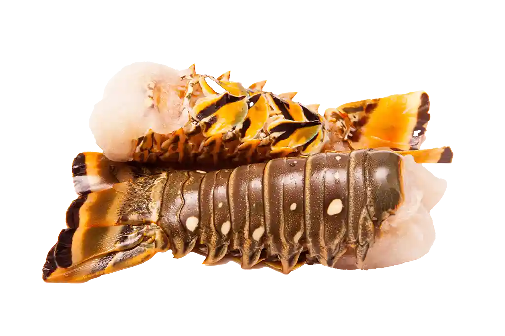 Krustentiere